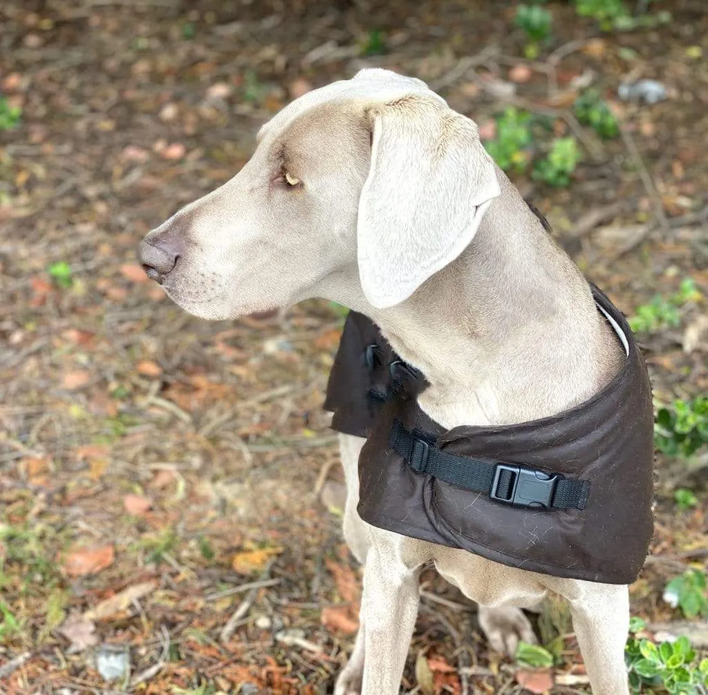 Clancy Oilskin Dog Coat