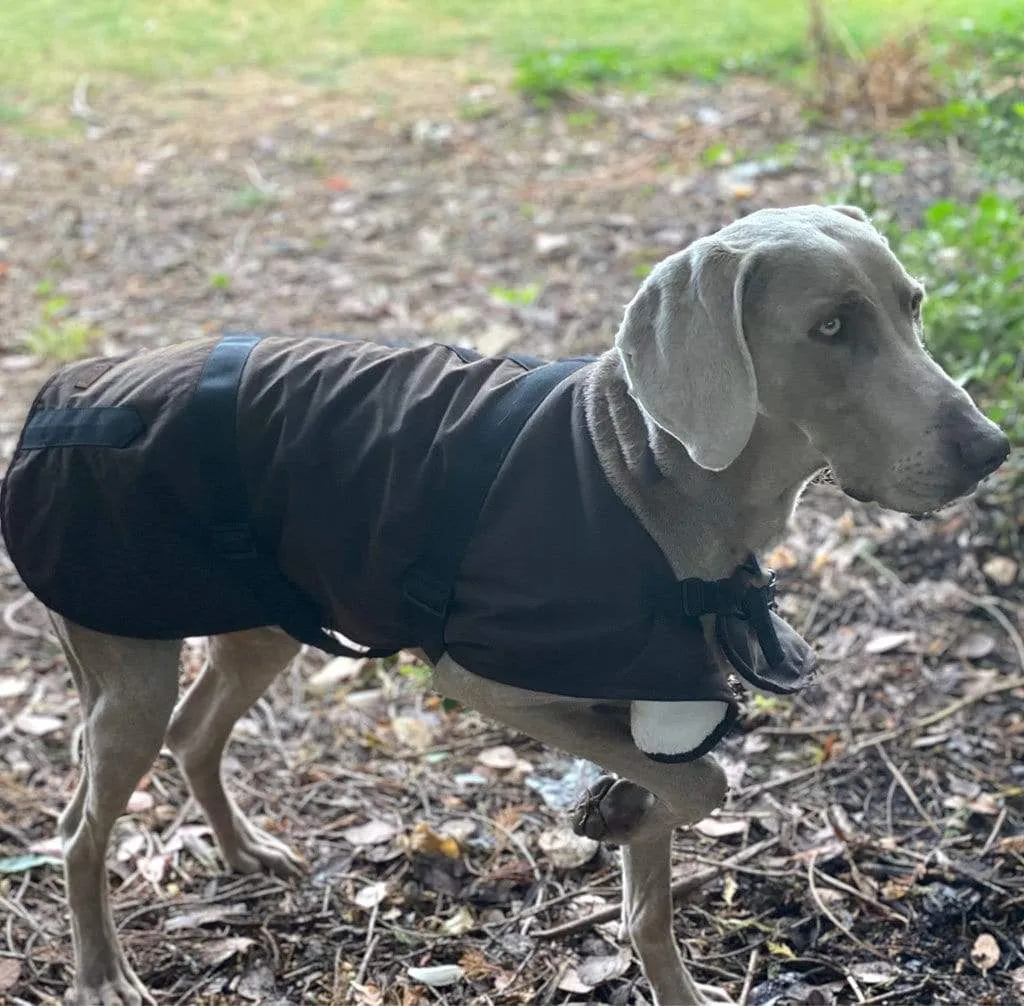 Clancy Oilskin Dog Coat