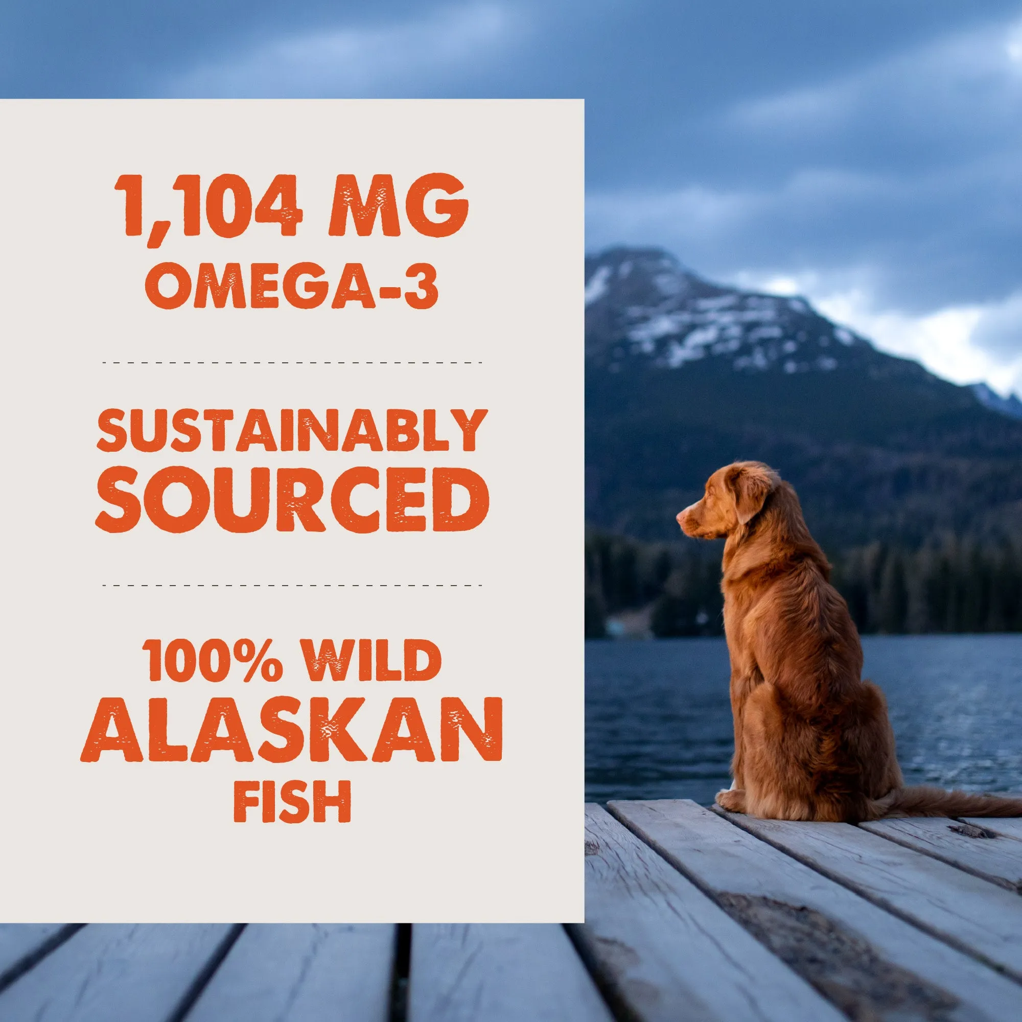 Grizzly Salmon Oil - Omega Plus