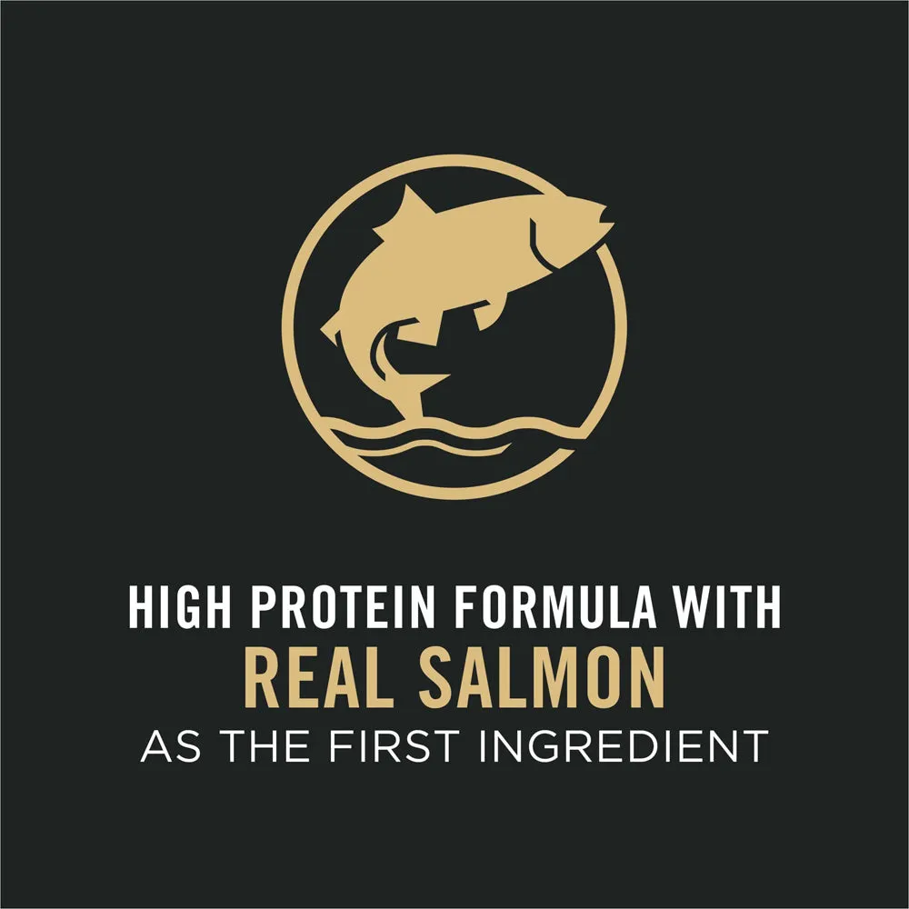 Purina Pro Plan High Protein Sensitive Skin & Stomach Small Breed Salmon & Rice Formula Dry Dog Food