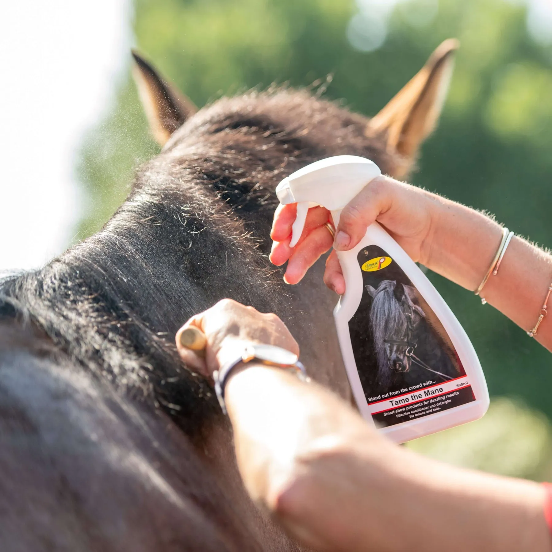 Smart Grooming Tame the Mane Conditioner and Detangler